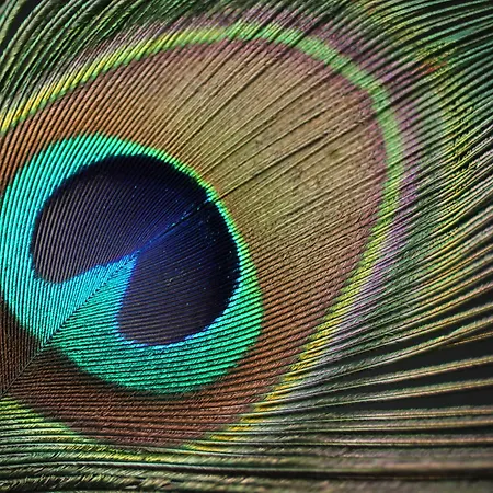 Brijuni Karmen Hotel 2*