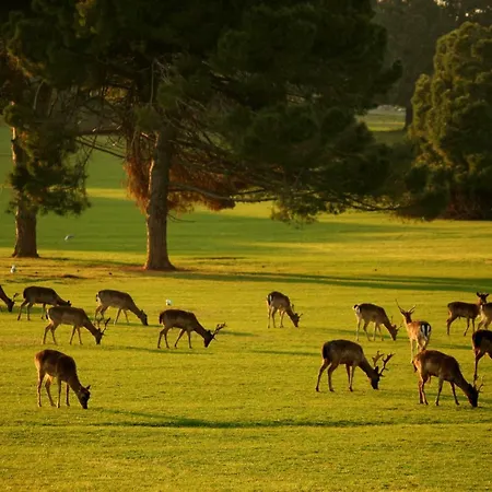 Hotel Brijuni Karmen