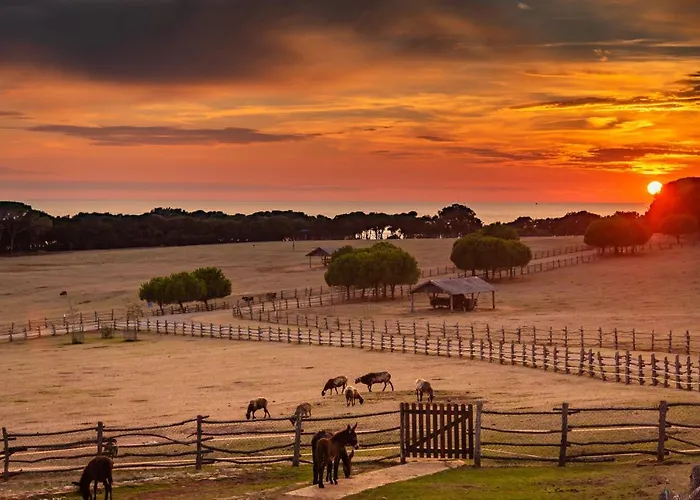 ホテル Brijuni Karmen