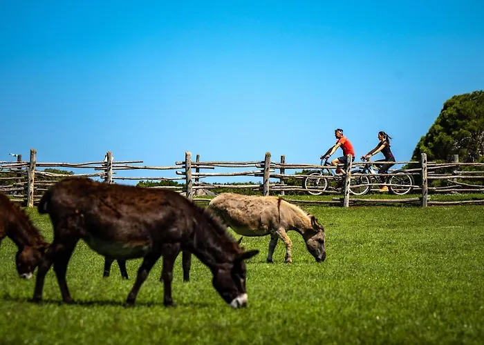 Brijuni Karmen ホテル