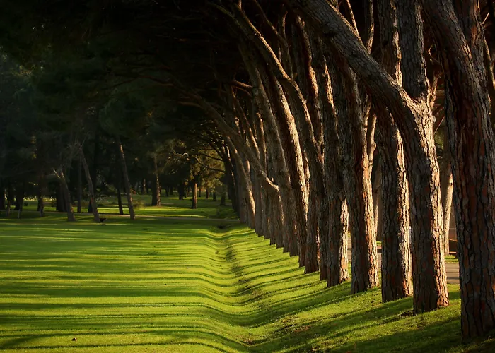 ホテル Brijuni Karmen