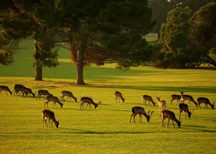 ホテル Brijuni Karmen